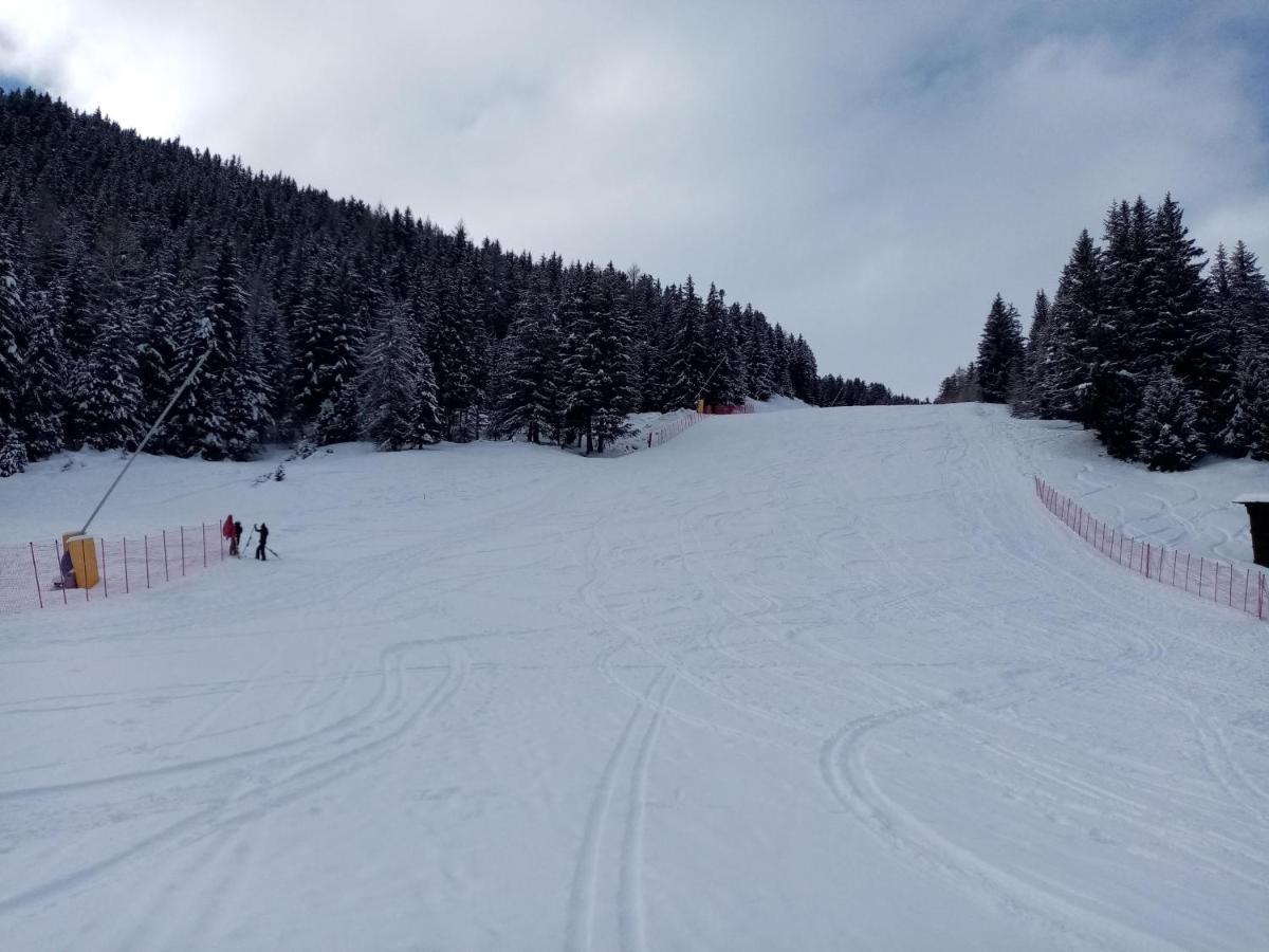 Comodo Alloggio Con Accesso Diretto Alle Piste 圣卡特琳娜瓦尔夫 外观 照片